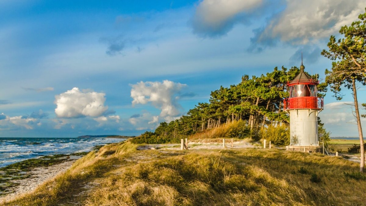 Hiddensee: Seenotretter bringen 12 Menschen in Sicherheit - Ankerherz Verlag