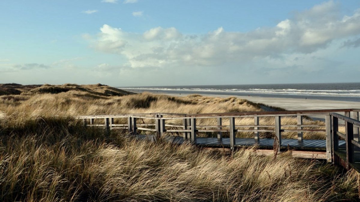 Insulaner finden erneut Munition am Strand von Juist - Ankerherz Verlag