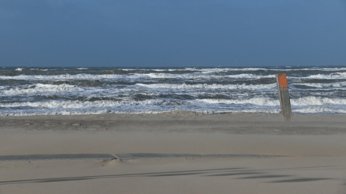 Marine Hitzewelle in der Nordsee beunruhigt Wissenschaftler - Ankerherz Verlag