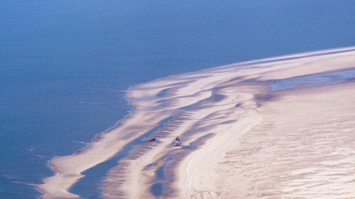 Naturschützer finden Leiche auf Sandbank Süderoogsand - Ankerherz Verlag