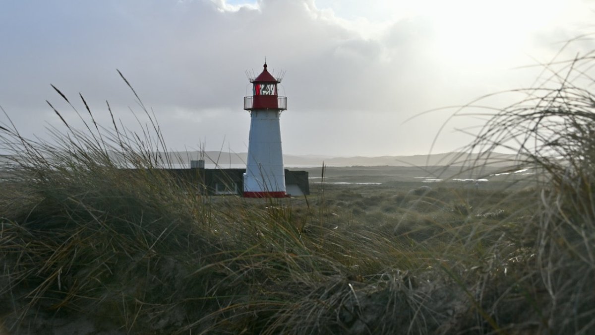 Stefans Geschichten vom Meer: Am Strand mit dem Totenkopf - Ankerherz Verlag
