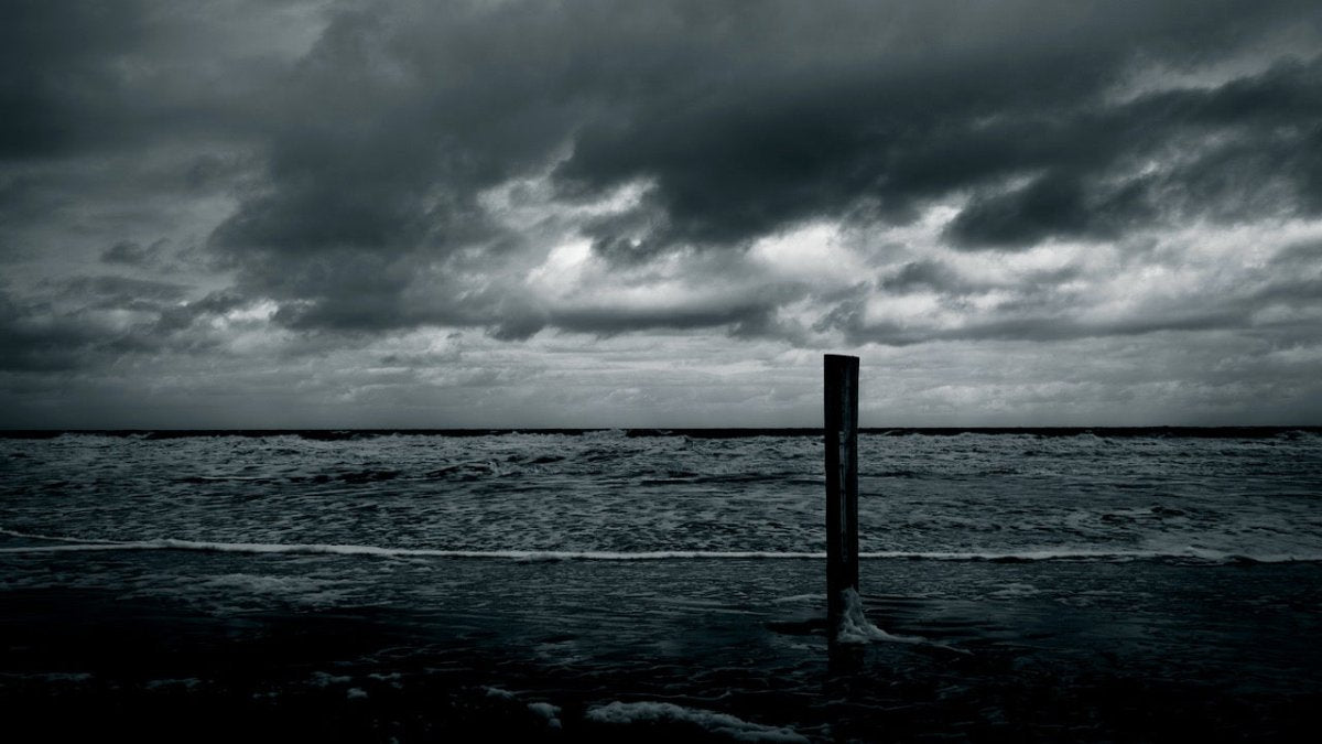 Wahrer Krimi vom Meer: ein Mord vor Norderney - Ankerherz Verlag