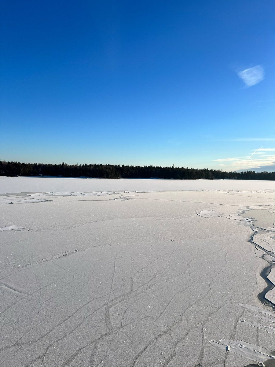 7.2. - 10.02.2025 Eisbrecher-Tour nach Helsinki - Ankerherz Verlag