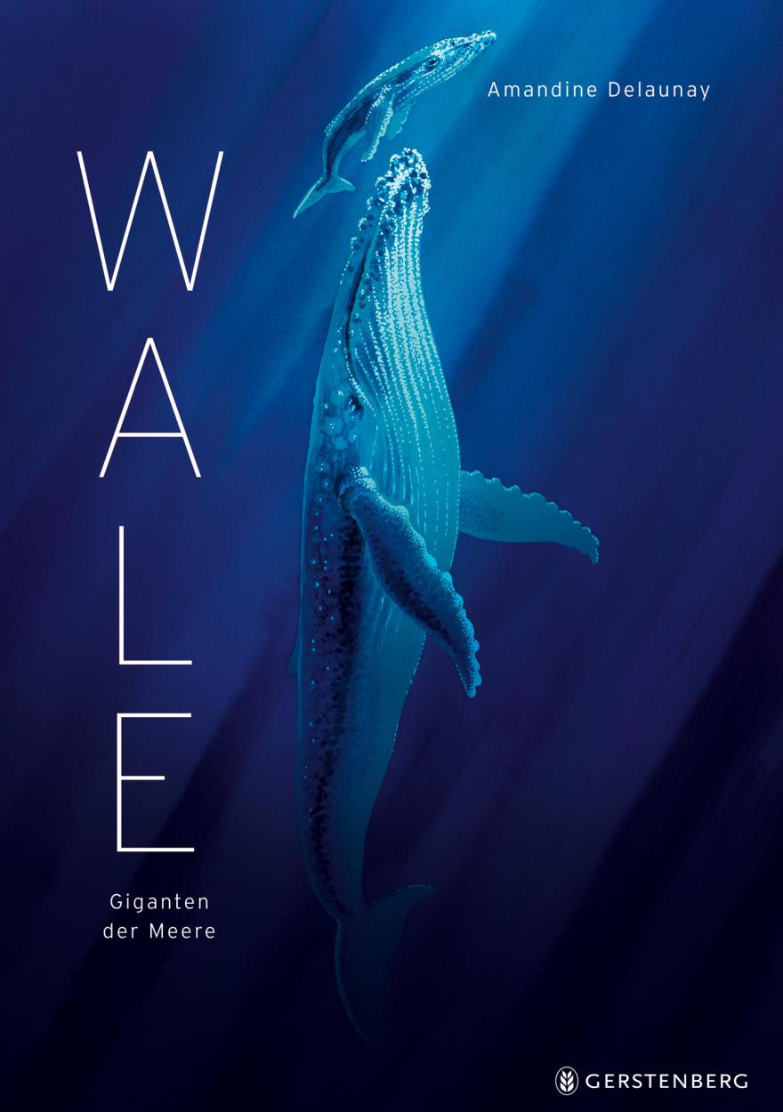 Wale - Giganten der Meere