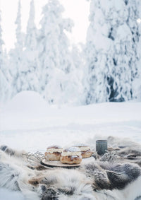 Nordisches Winter-Kochbuch