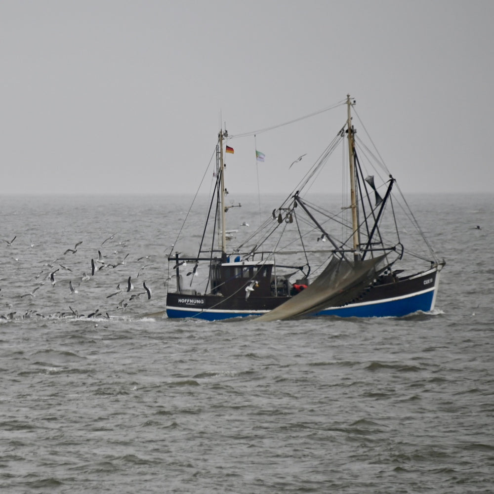 Tagesausflug nach Helgoland, Sonntag 21. Juni